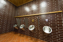 Lade das Bild in den Galerie-Viewer, SANELA SLPN 09C Edelstahl – Automatik – Urinal mit integrierter thermischer Steuerung, 24 V DC – vandalismussicher