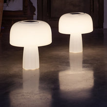 Lade das Bild in den Galerie-Viewer, Gartenleuchte Leuchtobjekt Solar "Boleti" 40x35 cm