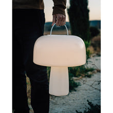 Lade das Bild in den Galerie-Viewer, Gartenleuchte Leuchtobjekt Solar "Boleti" 40x35 cm