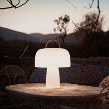 Lade das Bild in den Galerie-Viewer, Gartenleuchte Leuchtobjekt Solar "Boleti" 40x35 cm