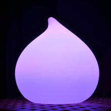 Lade das Bild in den Galerie-Viewer, Schwimmleuchte Leuchtobjekt DEW mit Akku und App Steuerung LED