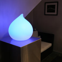 Lade das Bild in den Galerie-Viewer, Schwimmleuchte Leuchtobjekt DEW mit Akku und App Steuerung LED
