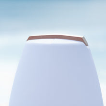 Lade das Bild in den Galerie-Viewer, Gartenleuchte kabellos "Vessel 1" mit Akku Lichtobjekt