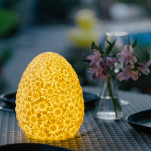 Lade das Bild in den Galerie-Viewer, Tischleuchte Daisy Lila kabellose Akuulampe Gartenleuchte 15x20 cm