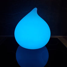 Lade das Bild in den Galerie-Viewer, Schwimmleuchte Leuchtobjekt DEW mit Akku und App Steuerung LED