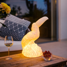 Lade das Bild in den Galerie-Viewer, Lichtobjekt Vogel apricot kabellos bruchsicher wasserdicht Außenbeleuchtung