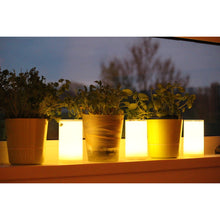 Lade das Bild in den Galerie-Viewer, Kabellose Tischleuchte "TUB" LED Akku Außenleuchte App Control