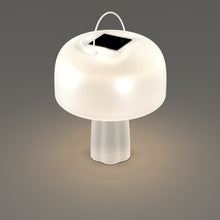 Lade das Bild in den Galerie-Viewer, Gartenleuchte Leuchtobjekt Solar "Boleti" 40x35 cm