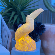 Lade das Bild in den Galerie-Viewer, Lichtobjekt Vogel apricot kabellos bruchsicher wasserdicht Außenbeleuchtung
