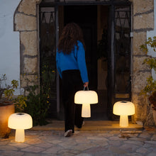 Lade das Bild in den Galerie-Viewer, Gartenleuchte Leuchtobjekt Solar "Boleti" 40x35 cm