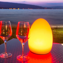 Lade das Bild in den Galerie-Viewer, Tischleuchte "Egg" Kabellos mit App Steuerung Außenbeleuchtung Gastro und Event