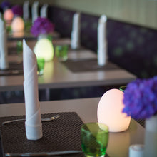 Lade das Bild in den Galerie-Viewer, Kabellose Akku Tischleuchte "Point" wasserdicht bruchsicher App Control