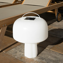 Lade das Bild in den Galerie-Viewer, Gartenleuchte Leuchtobjekt Solar "Boleti" 40x35 cm