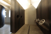 Lade das Bild in den Galerie-Viewer, SANELA SLPN 09 Edelstahl – Urinal – vandalismussicher
