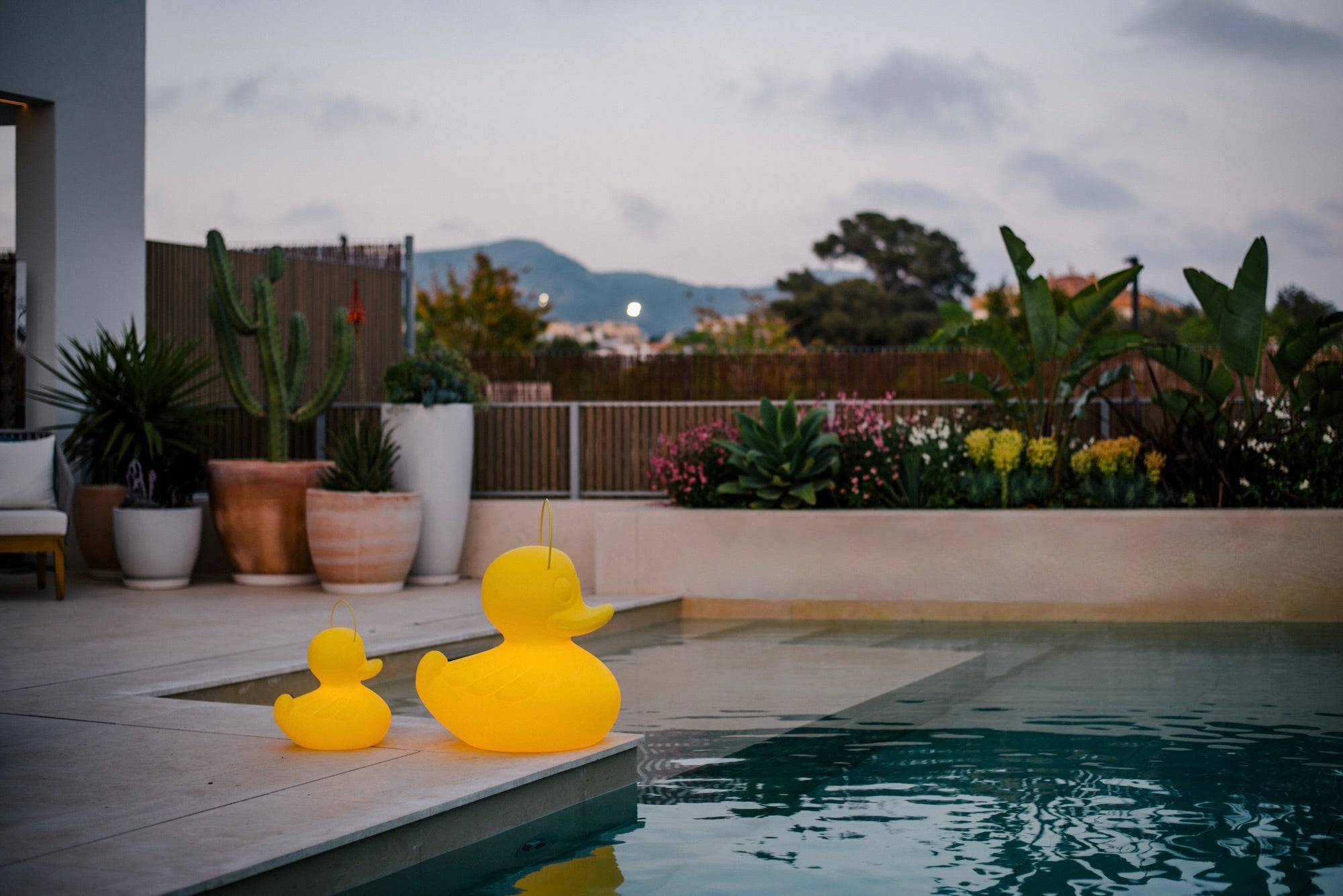 Lade Pool LED Schwimmleuchte Ente XXL gelb mit Fernbedienung Pool Leuchte Lichto ...