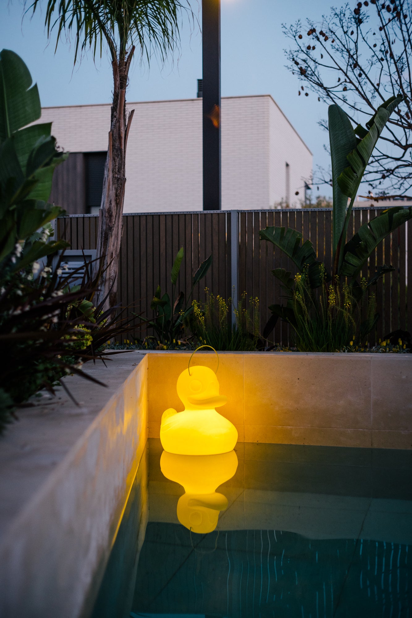 Lade Pool LED Schwimmleuchte Ente XXL gelb mit Fernbedienung Pool Leuchte Lichto ...