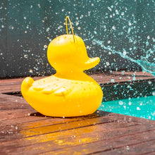 Lade das Bild in den Galerie-Viewer, Duck Duck Lampe Schwimleuchte Bad-Ente gelb 30 cm Akku und Fernbedienung
